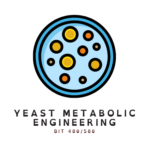 BIT 480/580 Yeast Metabolic Engineering